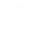 Dive With Sharks